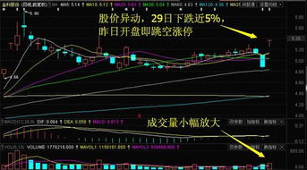 中信重工與掌趣科技逆市上漲，今日重點關注這三只互聯(lián)網(wǎng)概念股